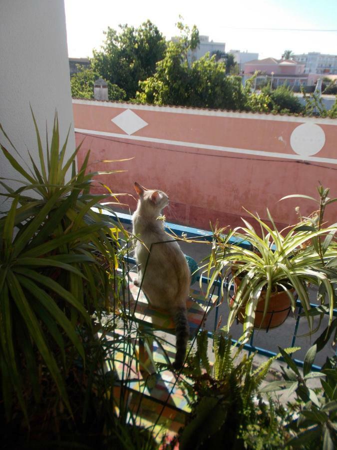Apartamento Ztir Olhão Exterior foto
